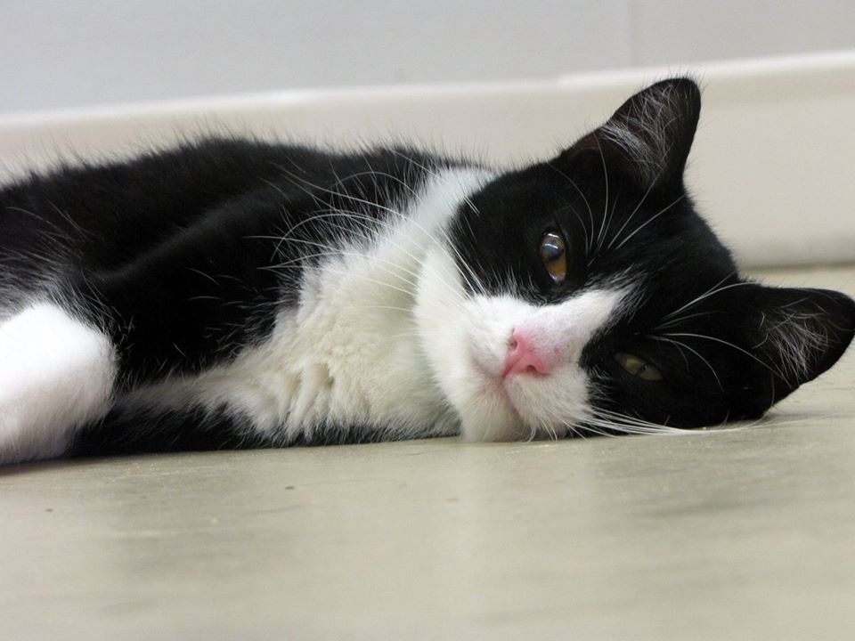 Impact Report 2015-2017