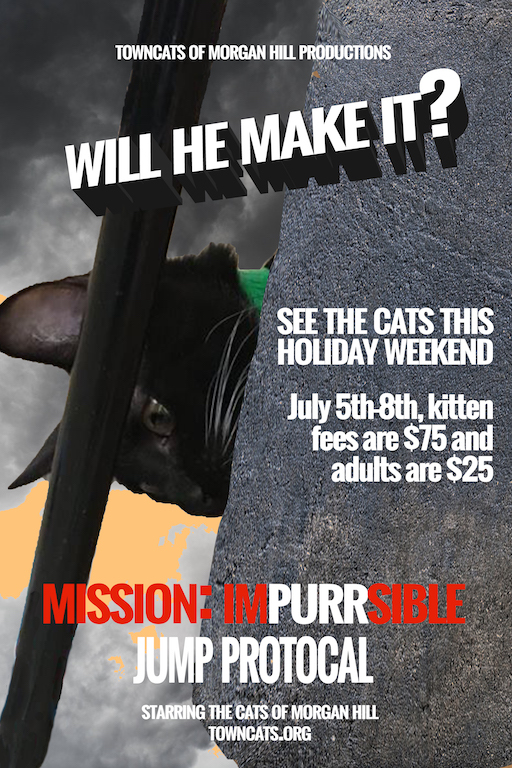 Mission: Impurrsible — Jump Protocal