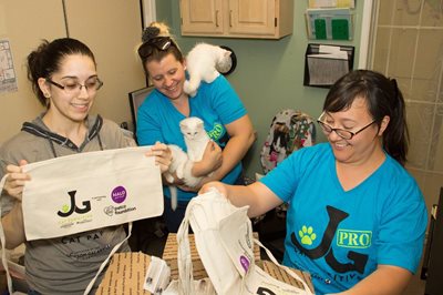 Jackson Galaxy Project: Town Cats Looking To Change Lives One Paw At A Time 