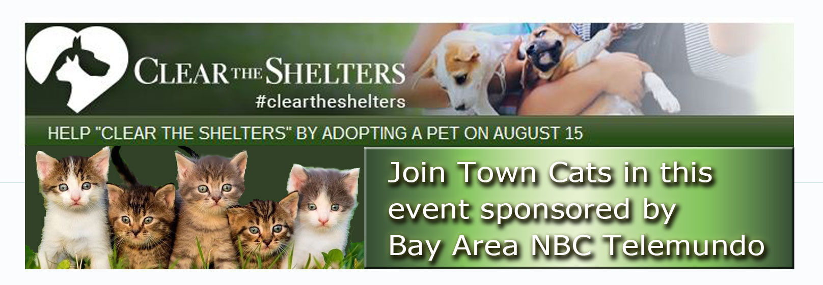 Come and visit our adoption locations for the NBC 11 Clear the Shelter Event on August 15th!