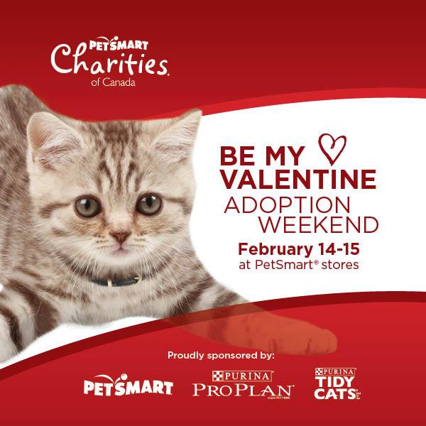 Find love at Petsmart this Valentines Weekend