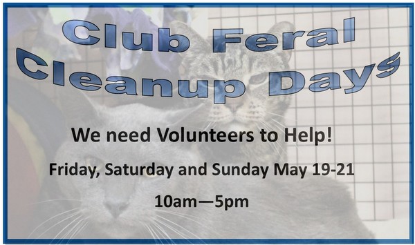 Club Feral Cleanup Days – Help us say Goodbye to Club Feral!