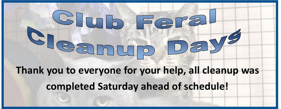 Club Feral/Albert cleanup Completed