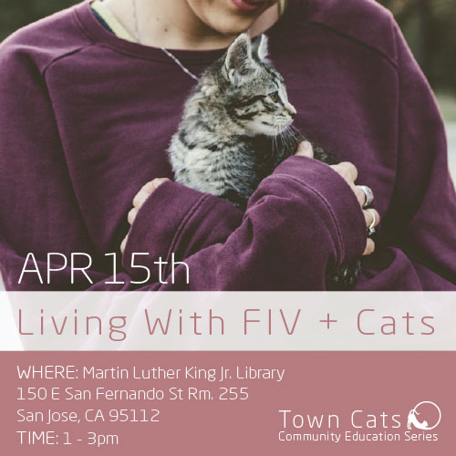 APR 15th | Living With FIV + Cats As Part Of Town Cats 2018 Community Education Series