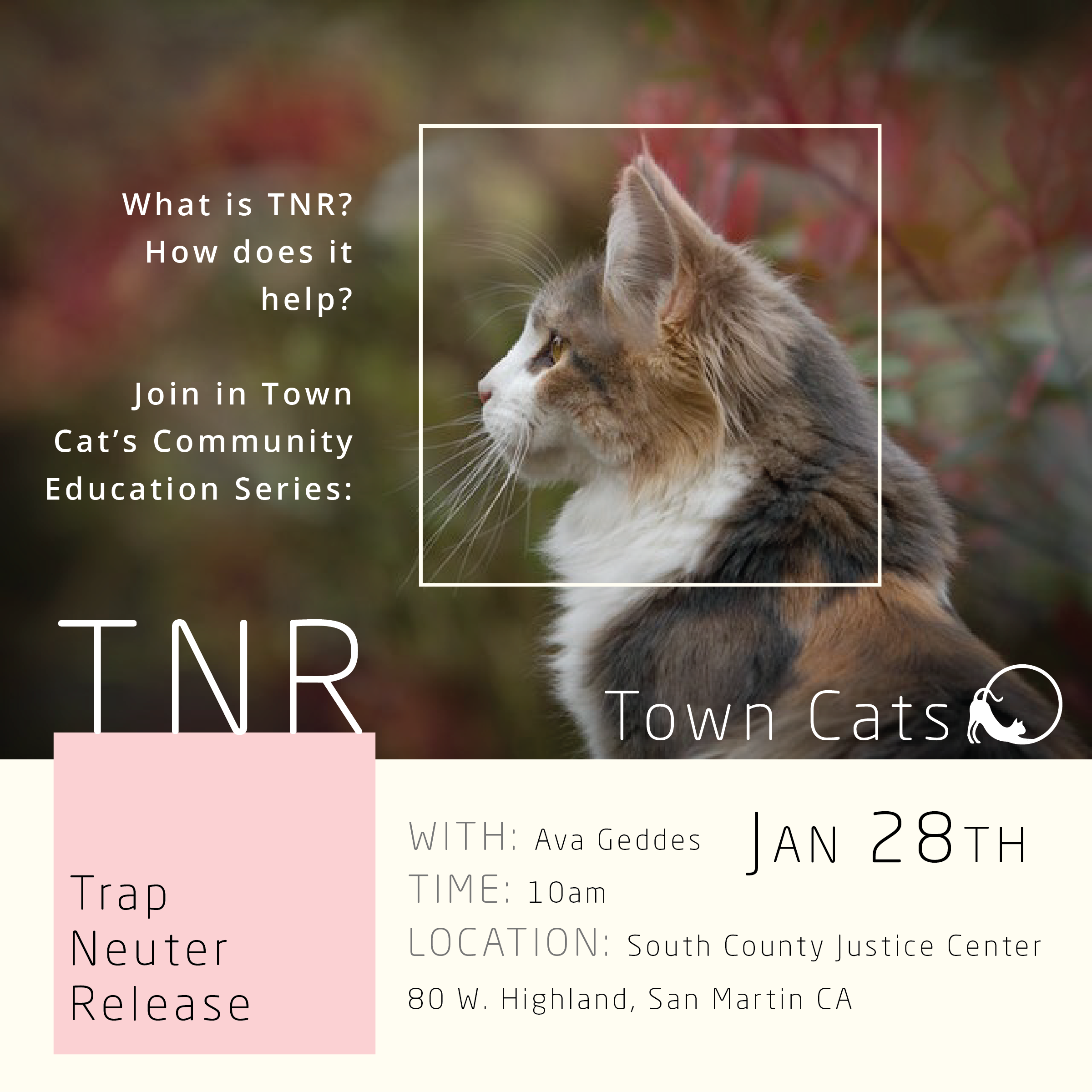 JAN 28th | TNR: Trap Neuter Release As Part Of Town Cats 2018 Community Education Series