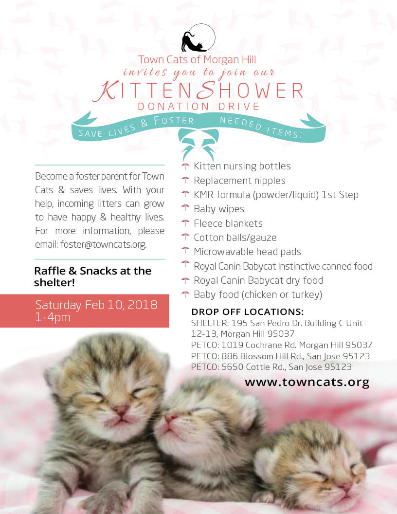 FEB 10 | Kitten Shower Donation Drive 1-4pm