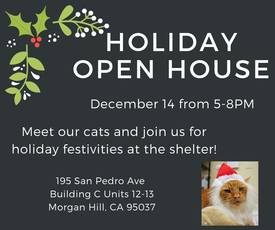 Town Cats Holiday Open House