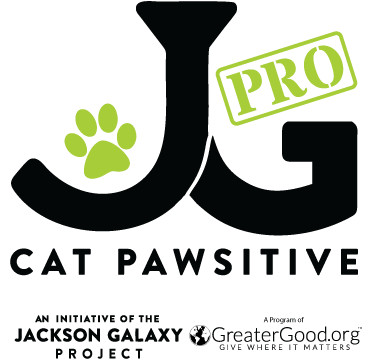 The Success of Cat Pawsitive Pro on our Legacy Cats