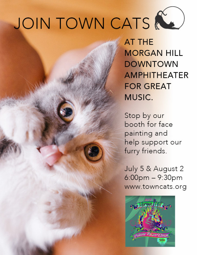 Hill Friday Night Music Town Cats