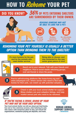 Rehome-Infographic Rehome-Infographic