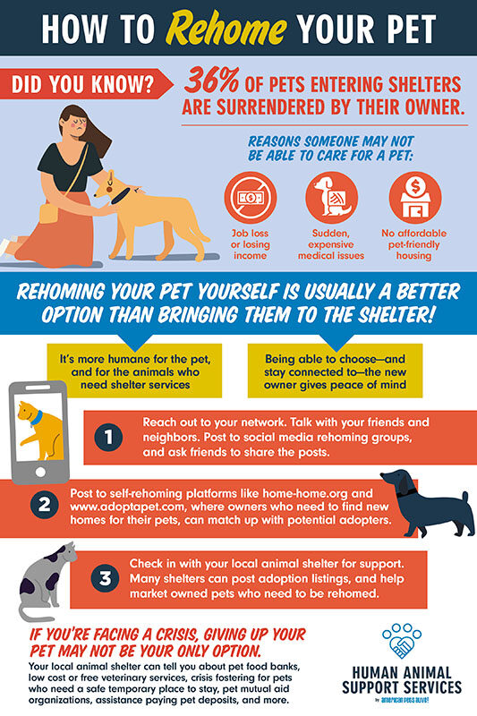 How-To-Find-a-New-Home-for-Your-Pet-Infographic-web