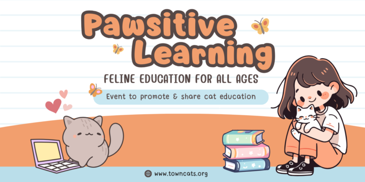 Pawsitive Learning: Feline Education for All Ages