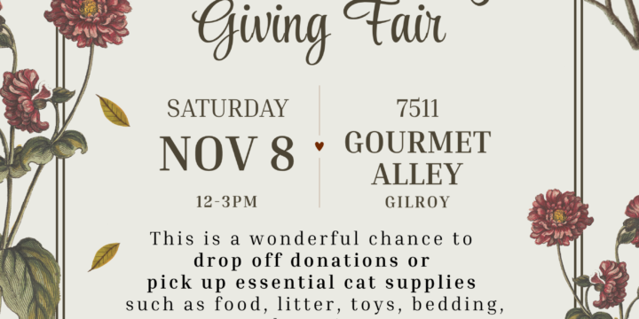 Paws of Thanks – Giving Fair 2025