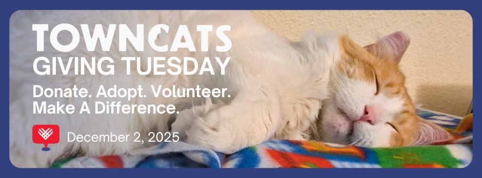 Donate. Adopt. Volunteer. Make a Difference.