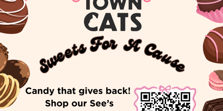 Fundraiser: See’s Candies Sweets for a Cause 2026