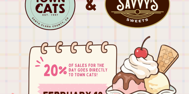 Fundraiser: Savvy’s Scoops for Paws – February 19
