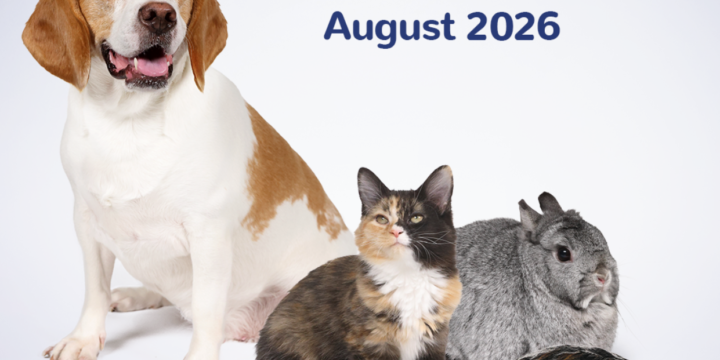 Clear the Shelters – August 2026